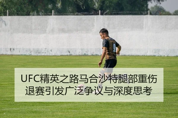 jing-ying-zhi-lu-ma-he-sha-te-tui-bu-zhong-shang-tui-sai-yin-fa-guang-fan-zheng-yi-yu-shen-du-si-kao-1-377.jpg
